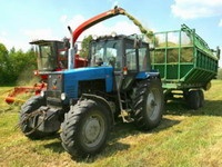 Немецкий анализ белорусской деревни