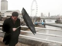 В Германии два человека погибли, десятки ранены в результате ураганов