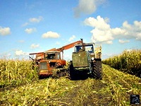 Сможет ли Беларусь заработать на росте цен на продовольствие?