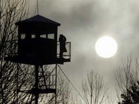 В Беларуси задержали телегу с 700 килограммами джинсов