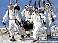 Босния пошлет войска в Афганистан