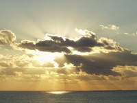 Янукович пообещал украинцам крупнейшую в Европе солнечную электростанцию