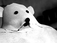 На пост премьер-министра Латвии выдвинули поролонового медведя