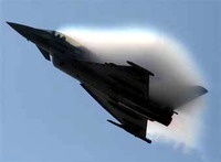 Литовский депутат решил отогнать от города истребители НАТО