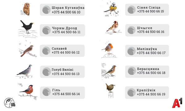 У белорусских птиц появились телефонные номера