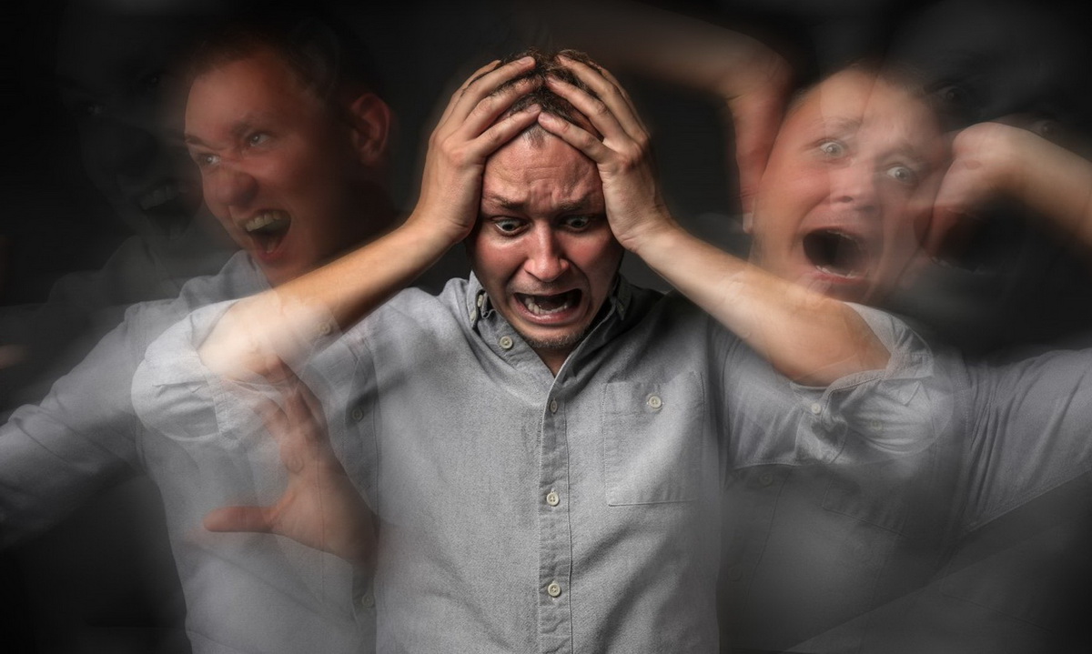 Наличие домашней кошки увеличивает риск развития шизофрении