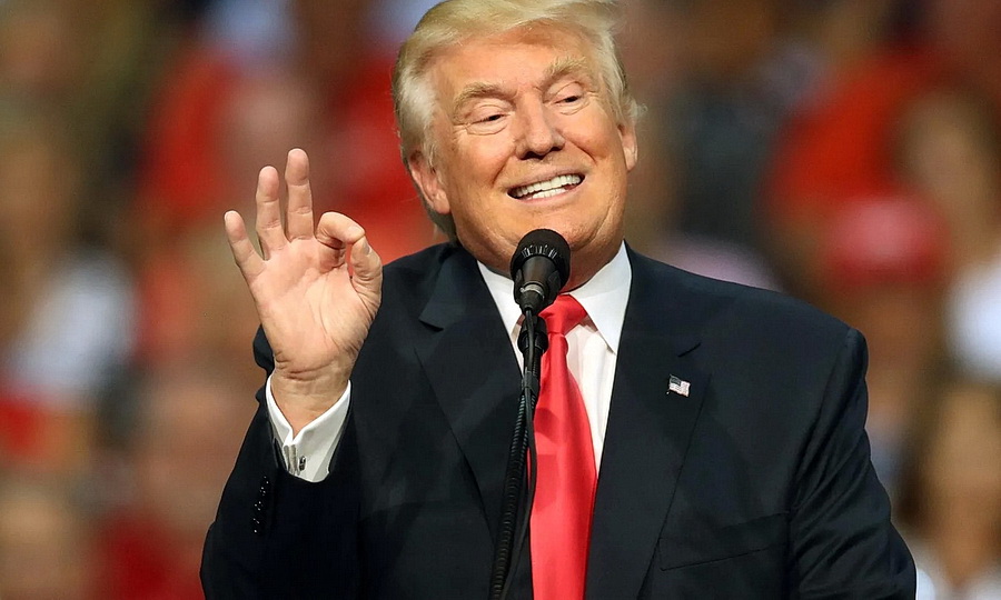 Трамп пообещал, что американцам больше «не придется» голосовать на выборах Трамп пообещал, что американцам больше «не придется» голосовать на выборах