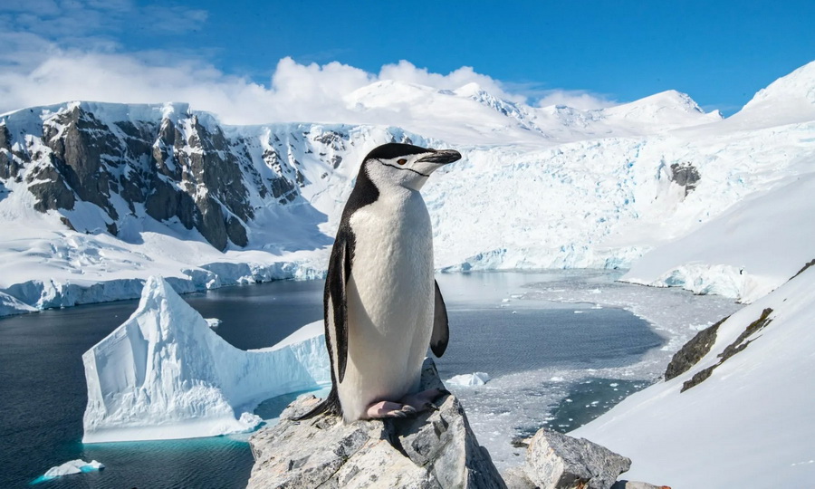 Антарктида постепенно поднимается из океана